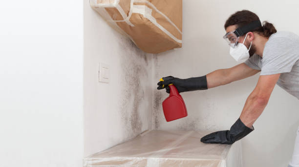 Professional Black Mold Removal technician working in Convent Station, NJ